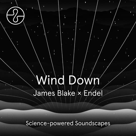 James Blake x Endel - Wind Down